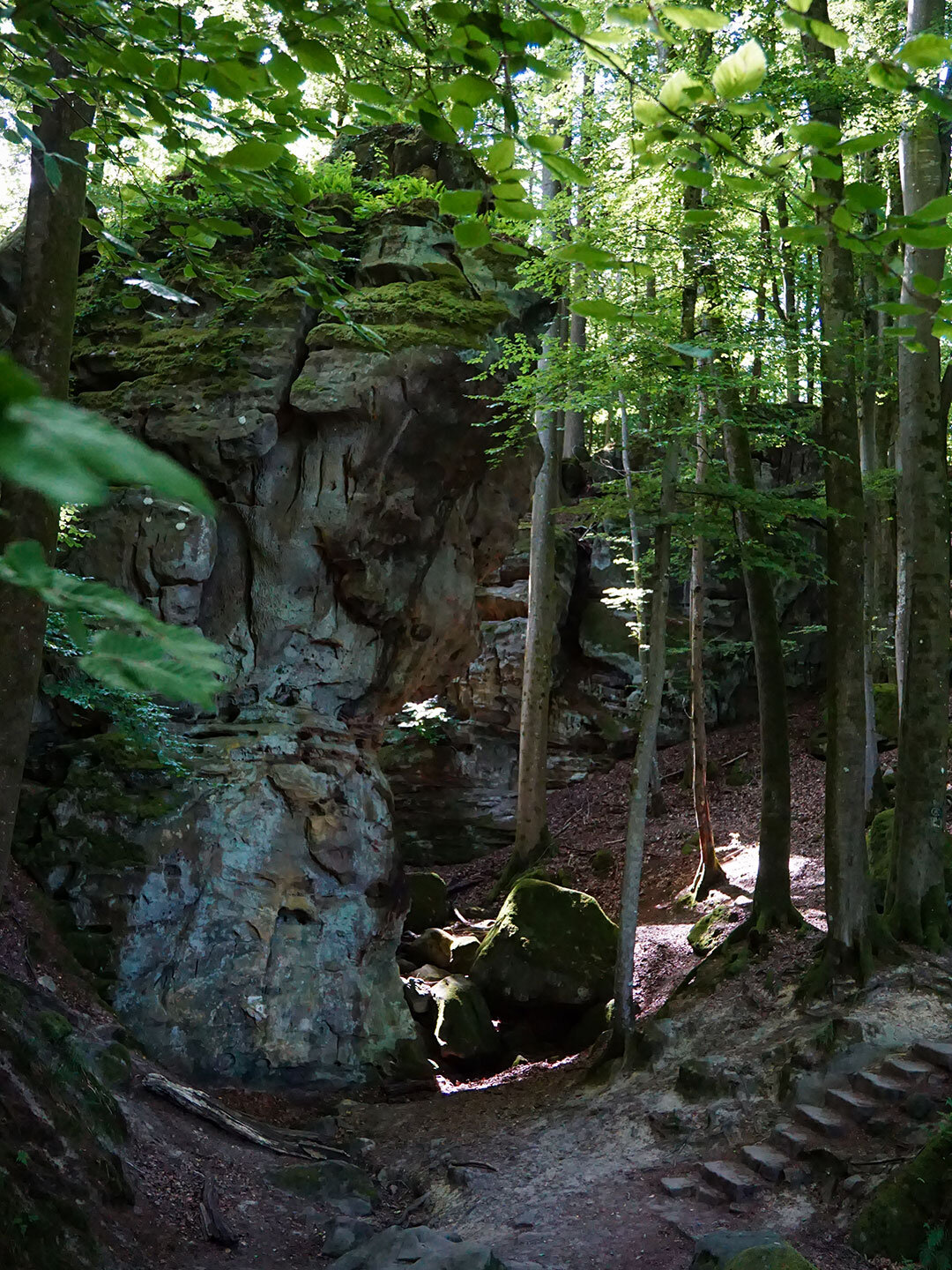 Treppen führen an die Felsen der Teufelsschlucht in der Eifel Treppen führen an die Felsen der Teufelsschlucht
