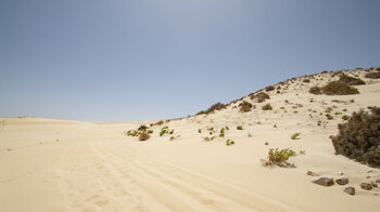 Wüstenwanderung an der Westküste der Insel Fuerteventura