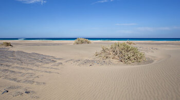 weite Sandflächen am Strand von Cofete