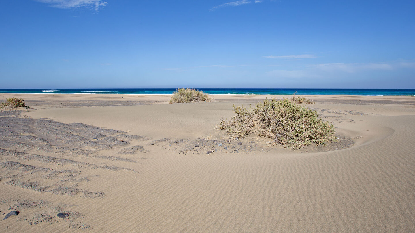 weite Sandflächen am Strand von Cofete