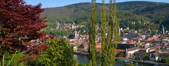 Eichendorff-Anlage am Philosophenweg in Heidelberg