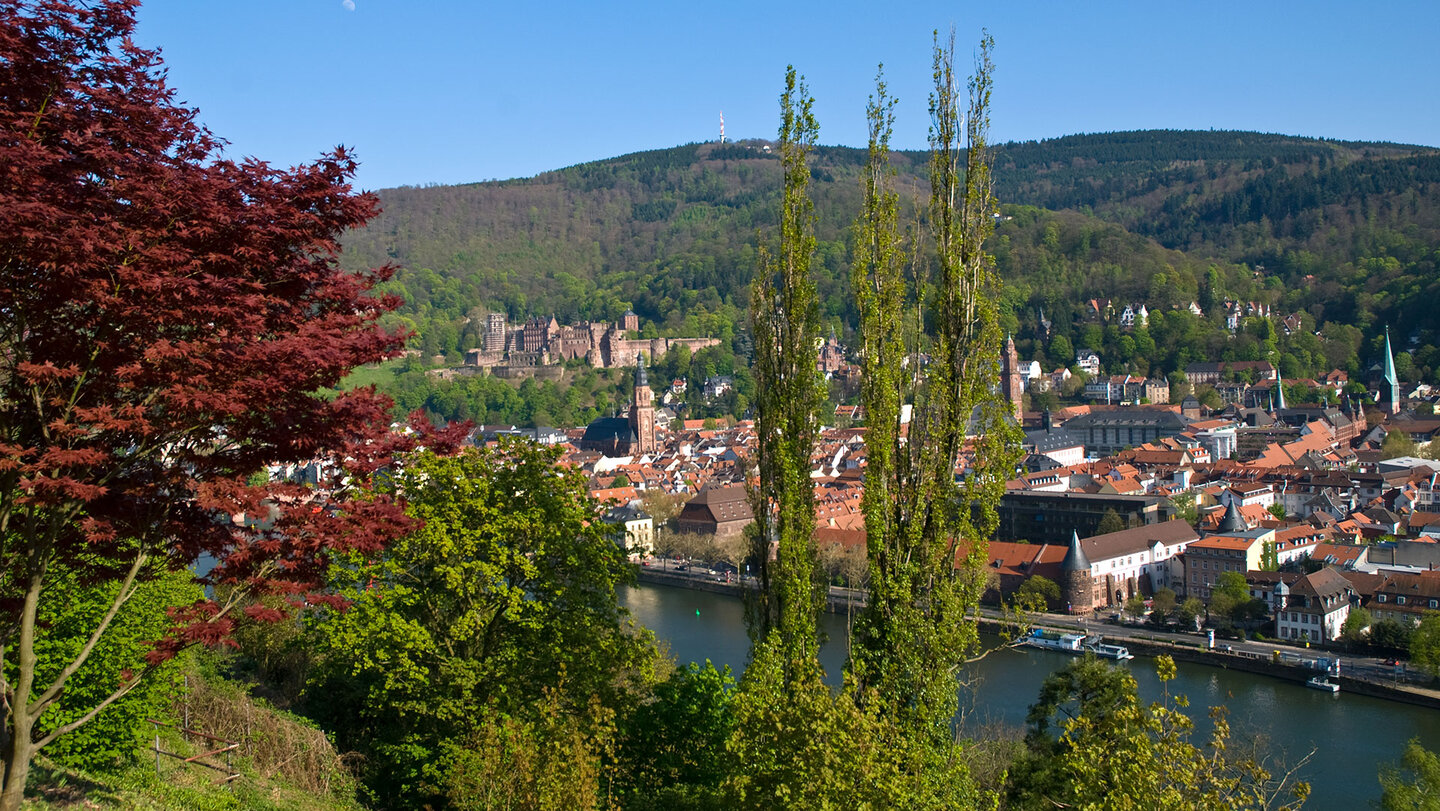 Eichendorff-Anlage am Philosophenweg in Heidelberg Eichendorff-Anlage am Philosophenweg in Heidelberg