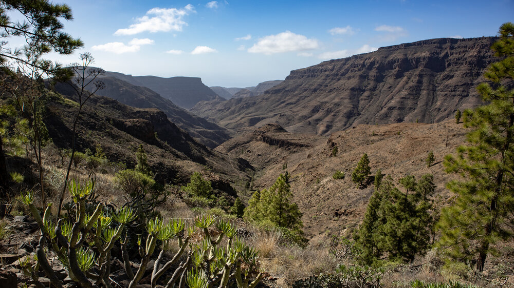 Aussicht über die lange Tauro-Schlucht vom Wanderweg PR GC-45 Aussicht auf Tauro-Schlucht vom Wanderweg PR GC-45