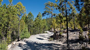 Piste durch den Naturpark Corona Forestal zu den Paisaje Lunar