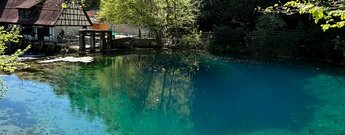 Karstquelle Blautopf an der Hammerschmiede