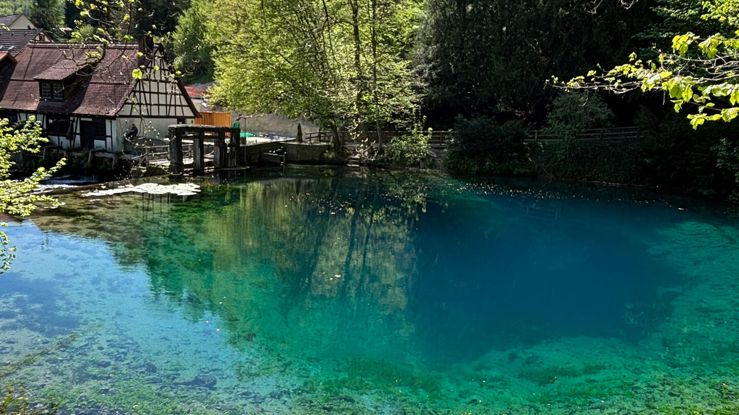 Karstquelle Blautopf an der Hammerschmiede