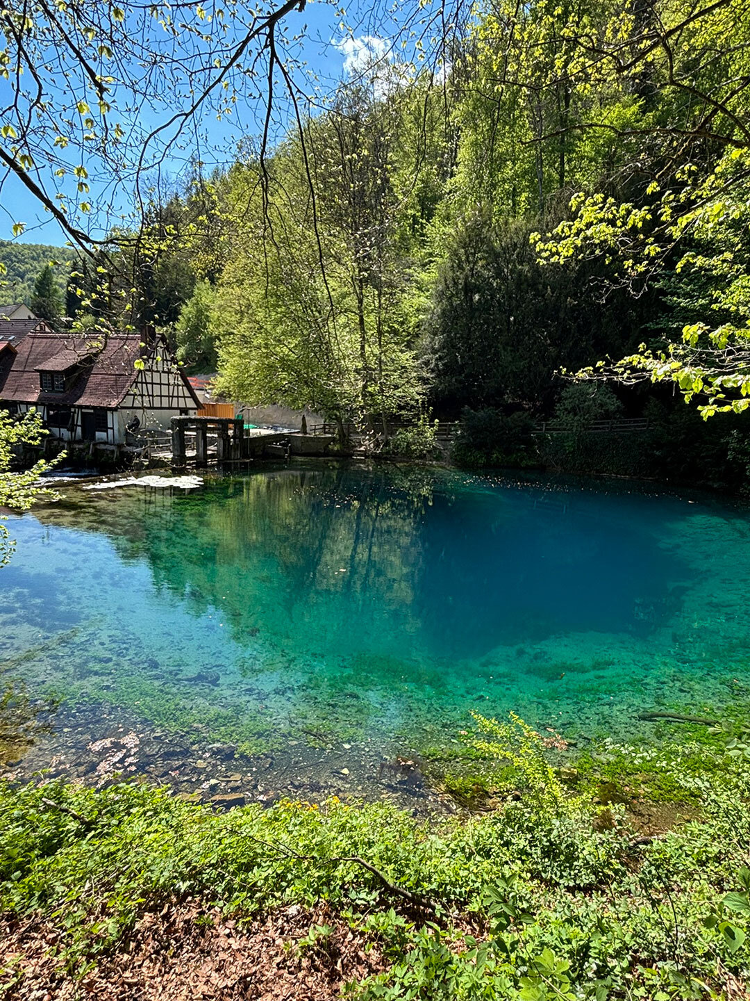 blau schimmernder Blautopf in Blaubeuren