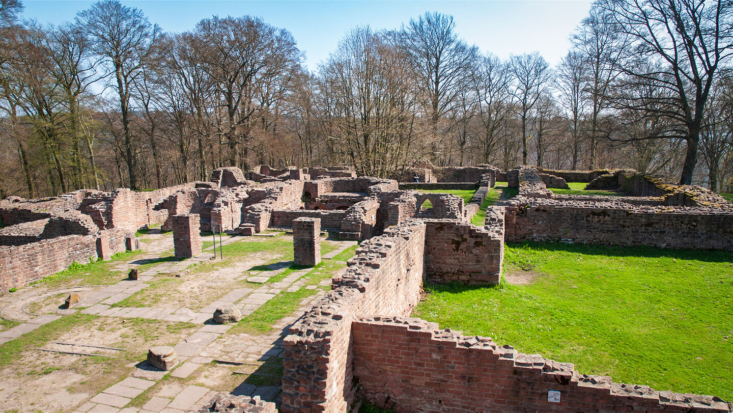 Ruine des Michaelsklosters auf dem Heidelberger Heiligenberg Ruine des Michaelsklosters auf dem Heiligenberg