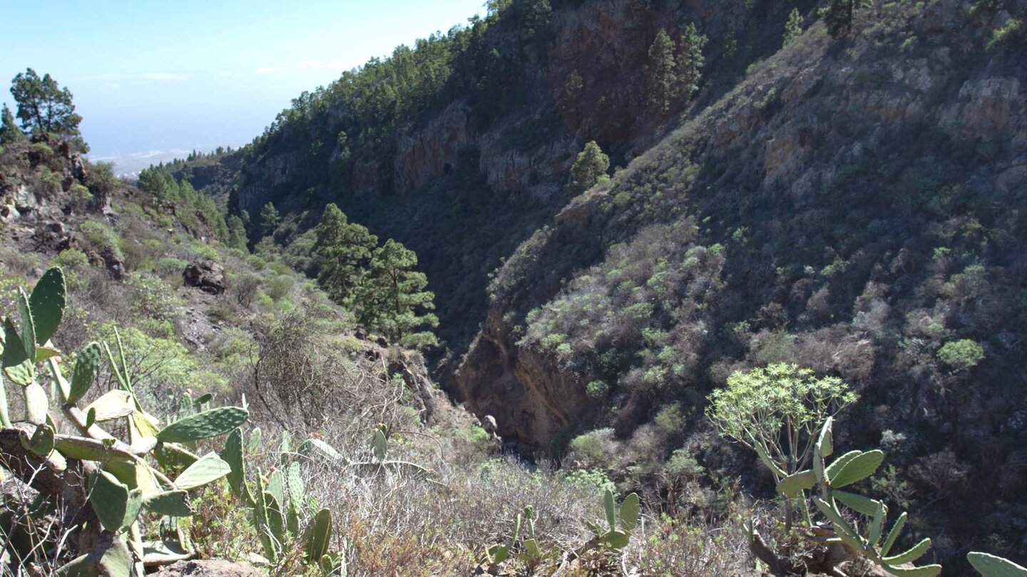 Abwanderung Richtung Las Vegas am Barranco Géñiga