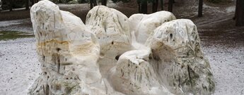 der  Dedingstein im Naturpark Harz mit seiner einzigartigen Form