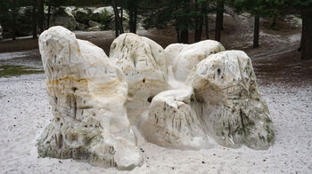 der  Dedingstein im Naturpark Harz mit seiner einzigartigen Form