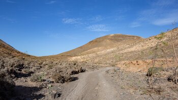 der Wanderweg SL FV 11 führt durch die Schlucht Barranco de Pecenescal