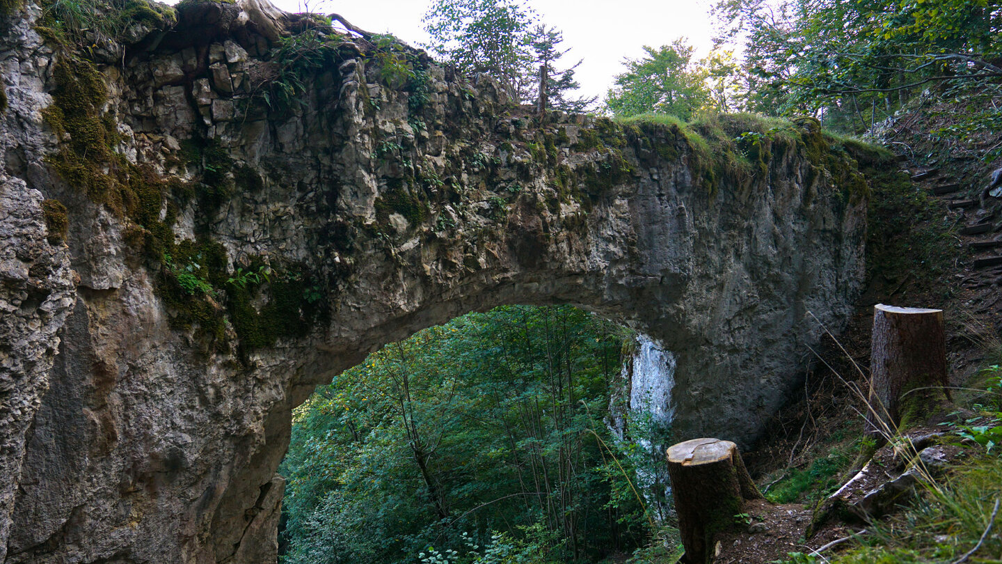 Felsformation Judenkirche am Ochsenberg