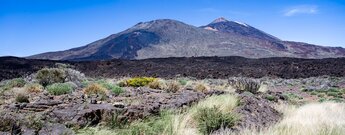 Blick vom Wanderweg 18 auf Pico Viejo mit den Kratern der Narices del Teide