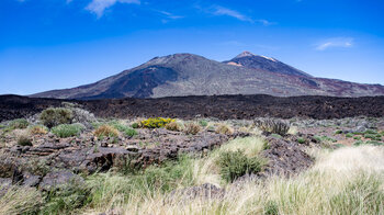 Blick vom Wanderweg 18 auf Pico Viejo mit den Kratern der Narices del Teide