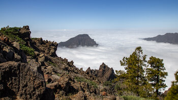 der Gipfel des Pico Bejenado über dem Wolkenmeer