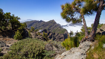 Hochgebirgsvegetation mit Kiefern und Zistrosen