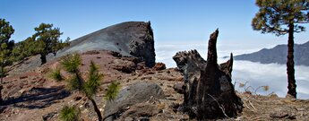 bunte Lapillifelder am Rand der Caldera