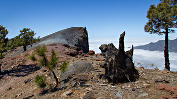 bunte Lapillifelder am Rand der Caldera