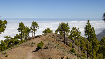 Wanderpfad oberhalb der Cumbre Nueva