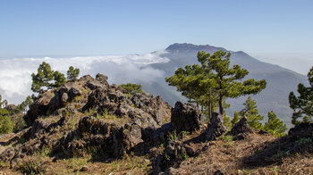 Passatwolken im Osten der Insel La Palma
