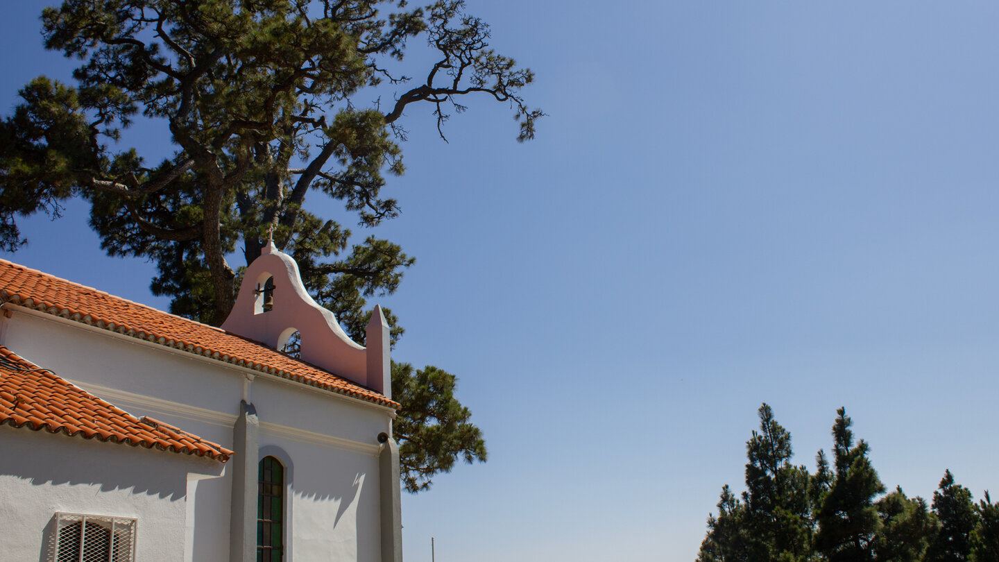 riesige Kiefer an Ermita Virgen del Pino, dem Endpunkt der Wanderung riesige Kiefer an Ermita Virgen del Pinos