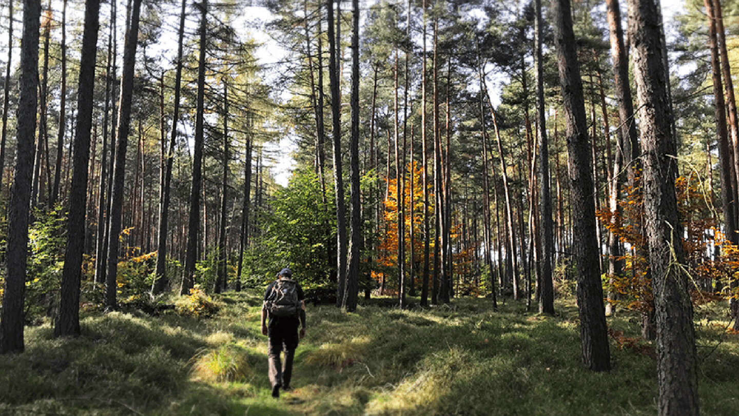 Wanderroute im Naturpark Vogelsberg