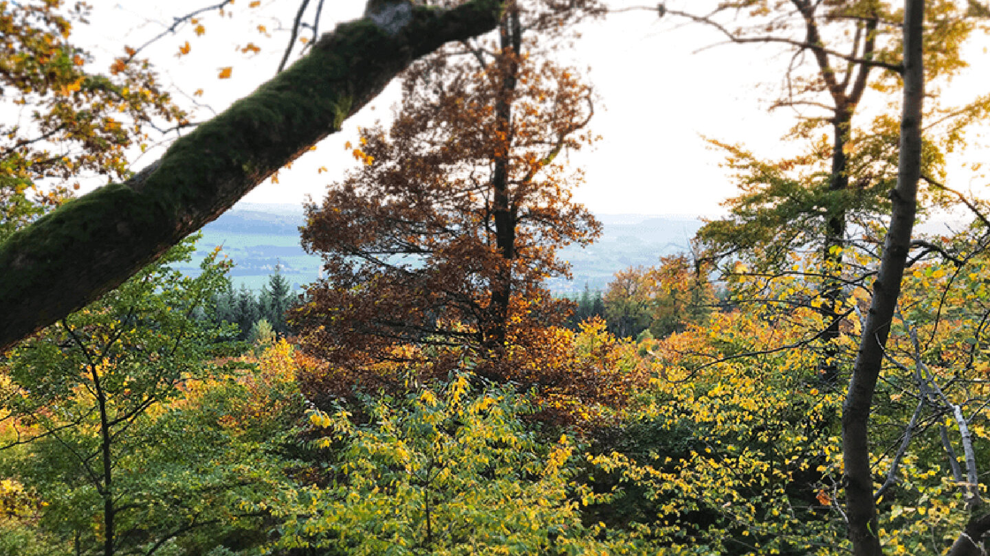 Ausblick vom Landenhäuser Stein