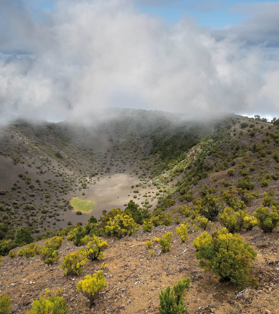Blick in die mit Baumheidebüschen bewachsene Caldera de la Hoya de Fireba auf El Hierro