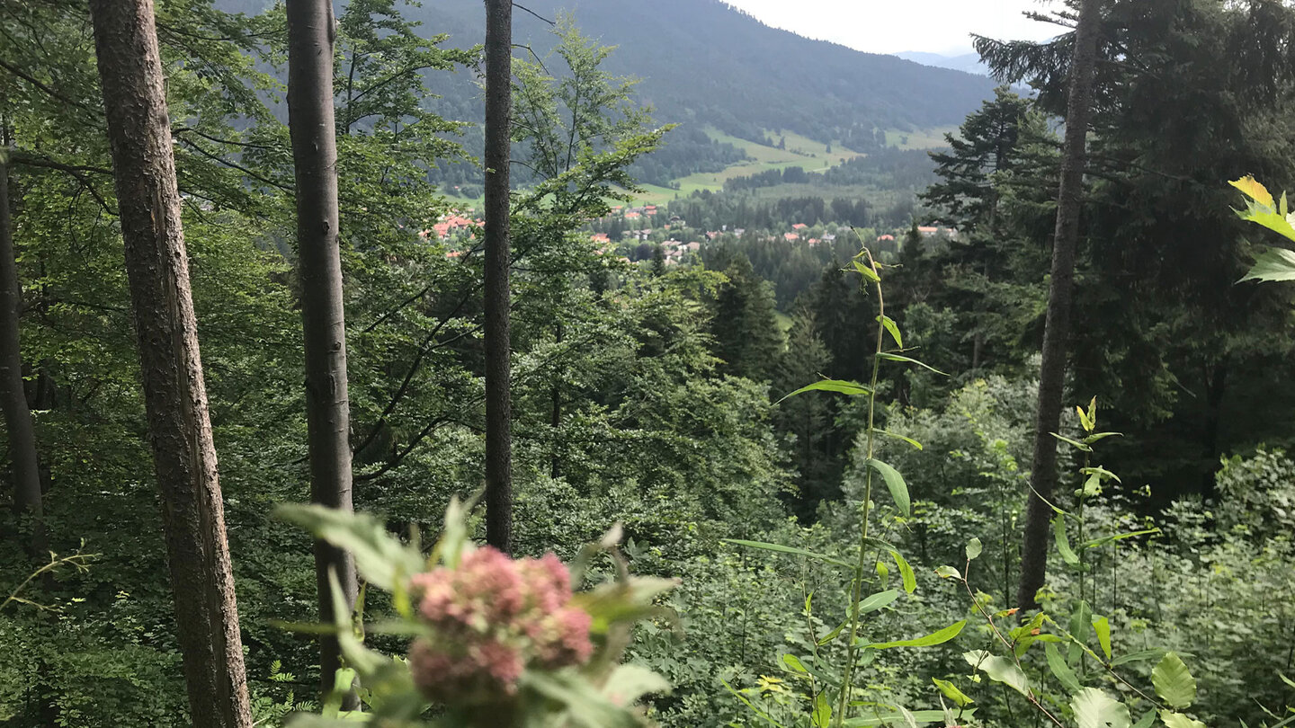Aussicht auf Neuhaus am Schliersee