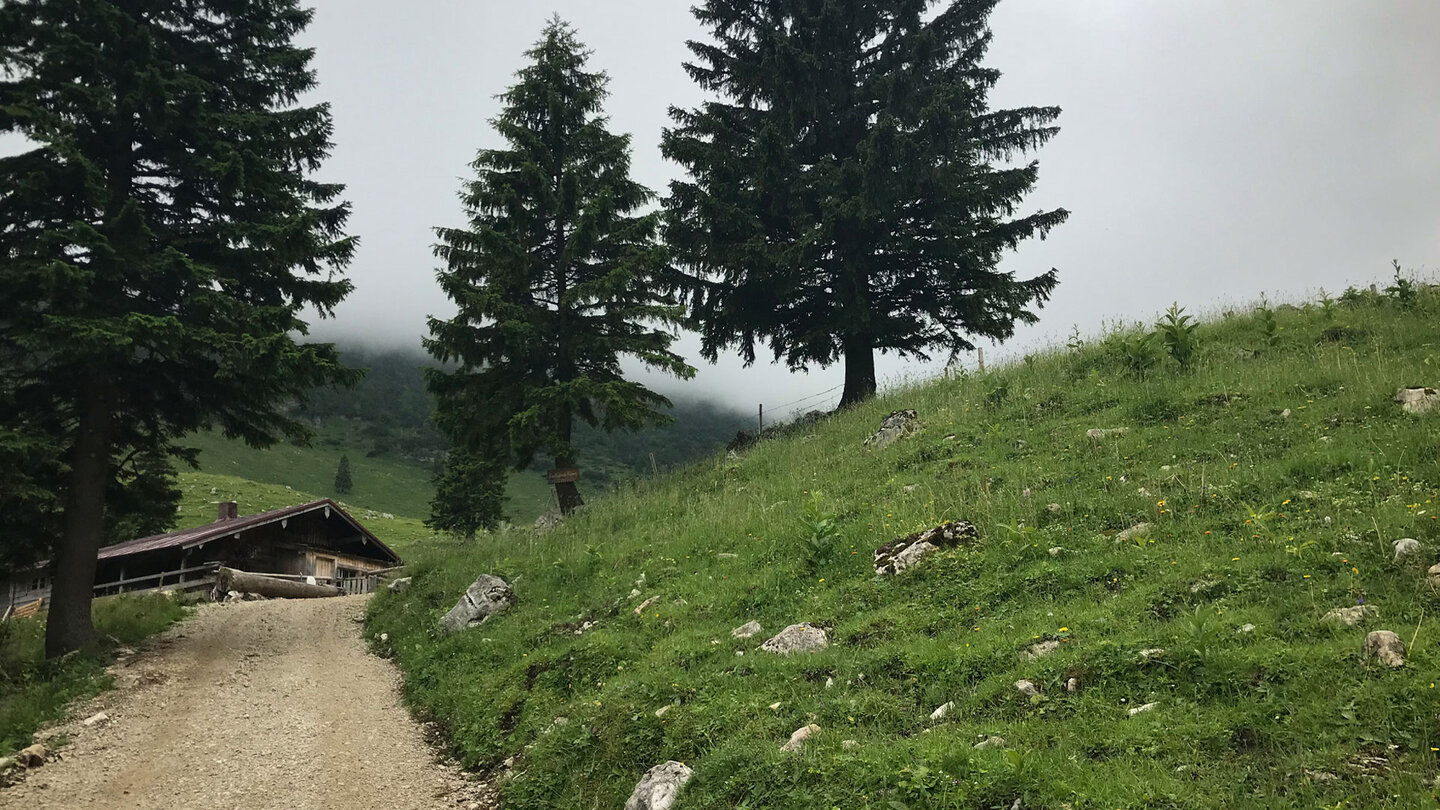 die Route führt über eine Piste hinauf zur Anklaalm