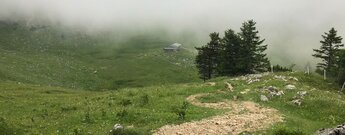 ein Schotterpfad führt steil hinauf zur Brecherspitze