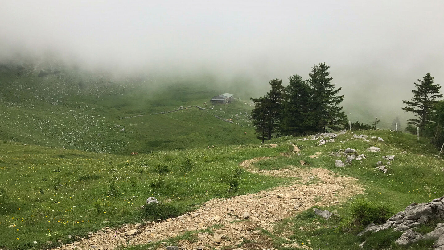 ein Schotterpfad führt steil hinauf zur Brecherspitze