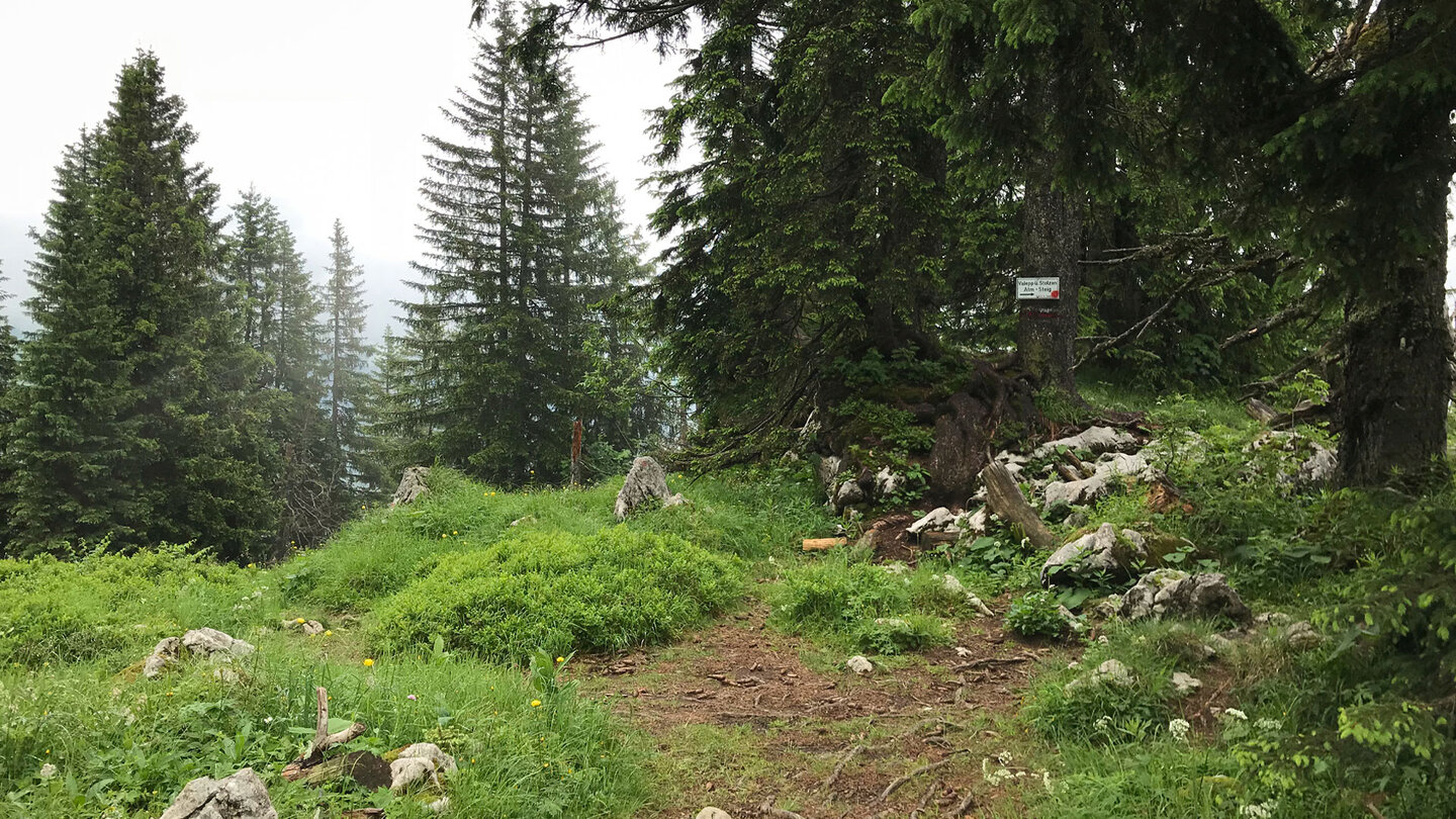 über ein kleines Plateau führt der Weg auf den Stolzenberg