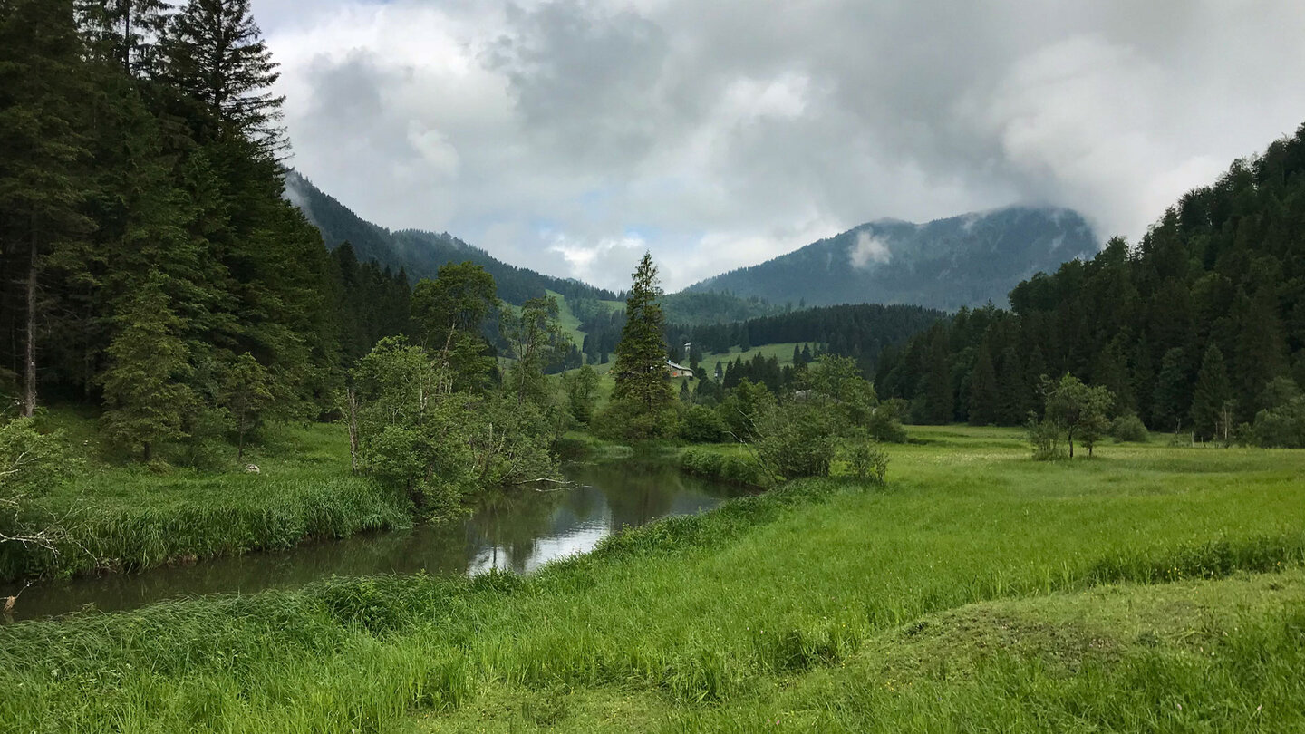 Blick über die Wiesenlandschaft im Tal an der Roten Valepp