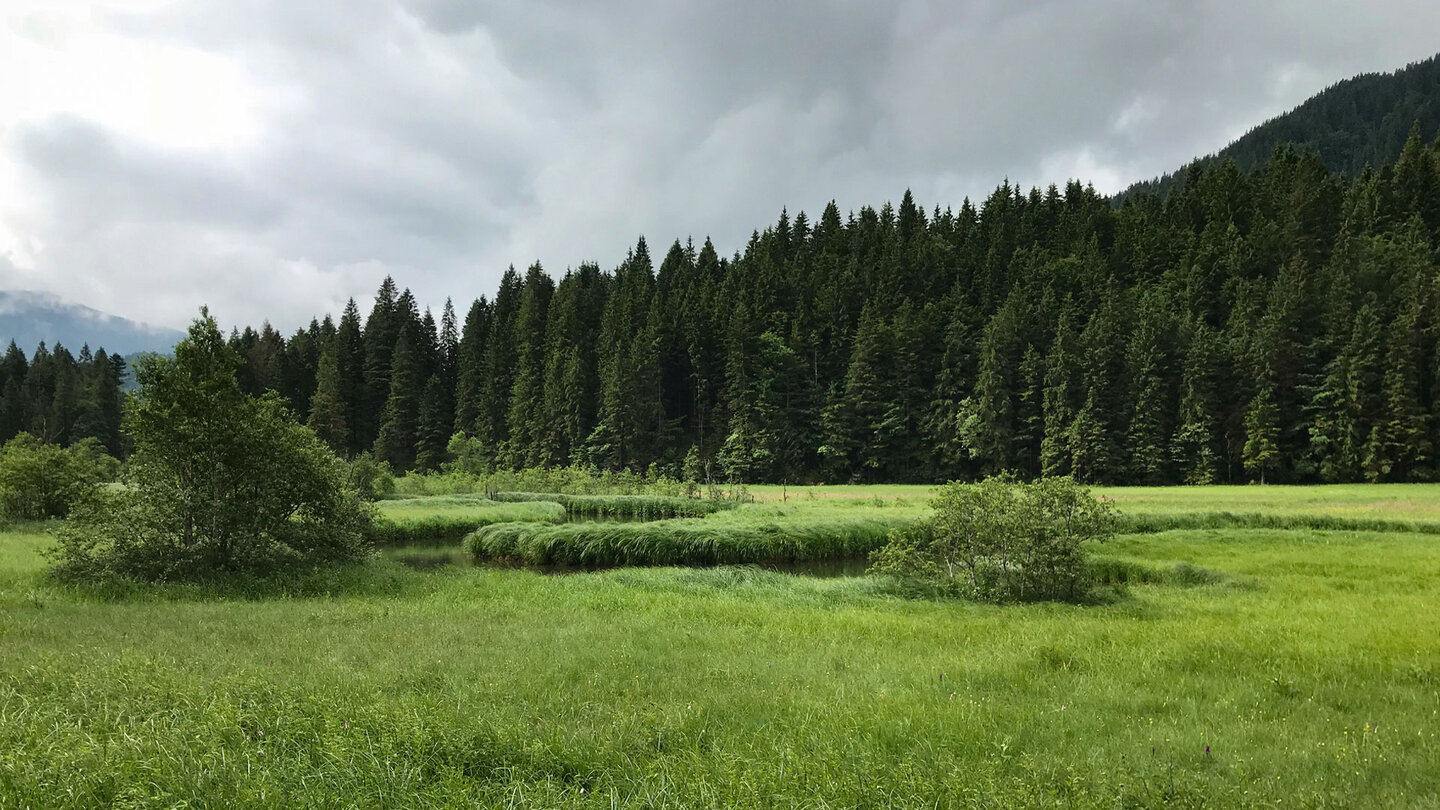 der Bachverlauf der Roten Valepp mäandert durch das Tal