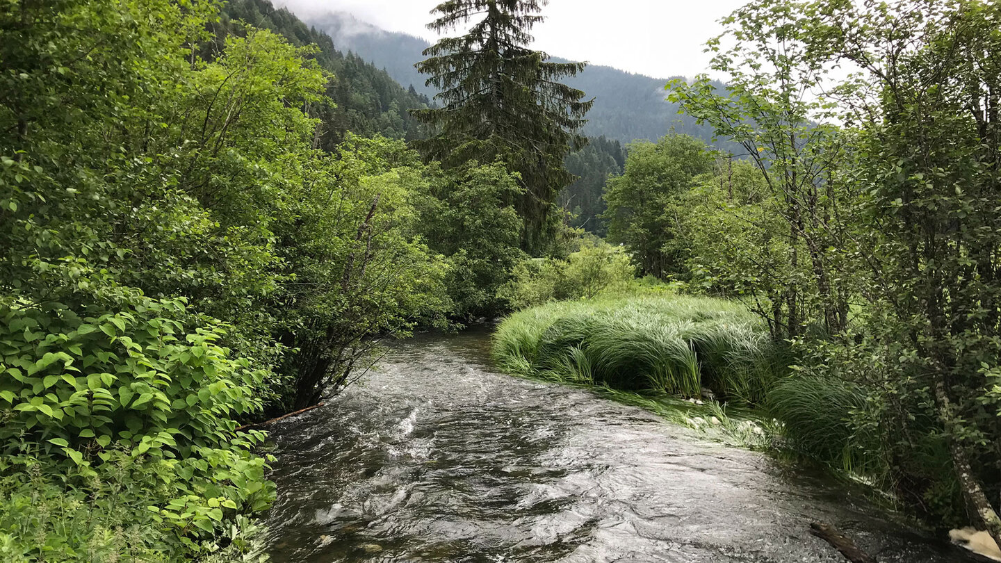 Blick auf die Rote Valepp