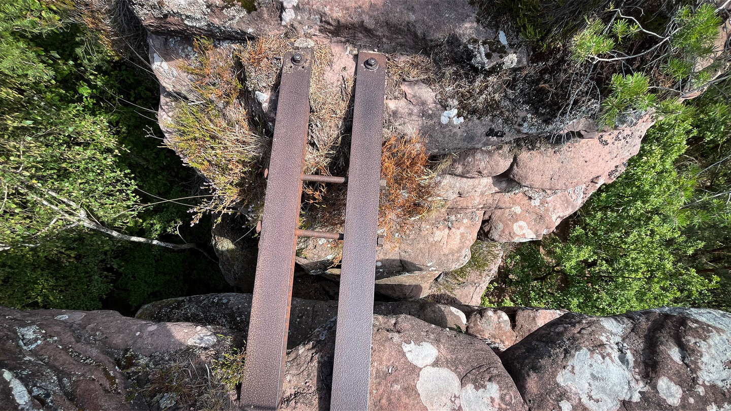 Metallleiter mit Rundsprossen zwischen rötlichen Buntsandsteinblöcken am Nedingfelsen, Moos und Heidekraut an den Felskanten