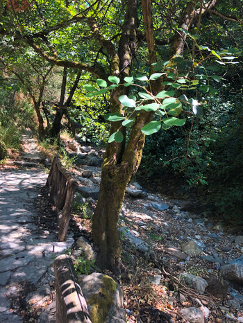 Wanderweg bei Meskla zur Sarakina-Schlucht