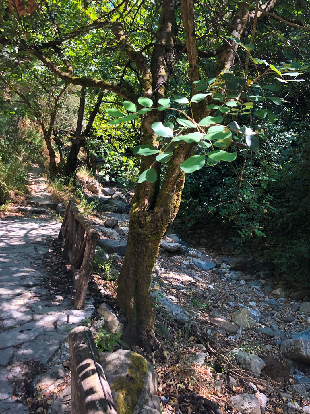 idyllischer Wanderweg bei Meskla zur Sarakina-Schlucht Wanderweg bei Meskla zur Sarakina-Schlucht