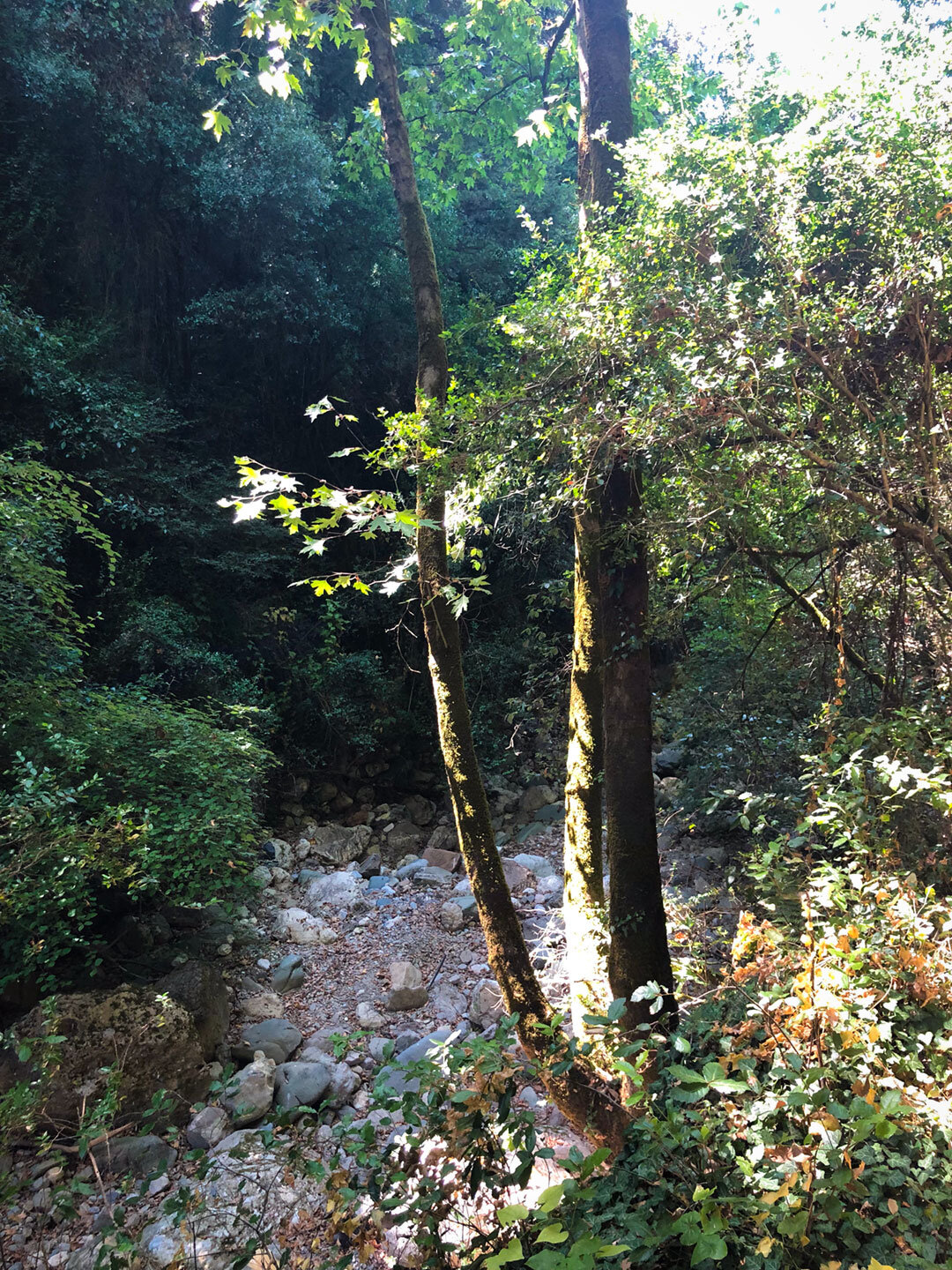 trocken gefallener Bachlauf am Beginn der Sarakina-Schlucht trockener Bachlauf am Beginn der Sarakina-Schlucht