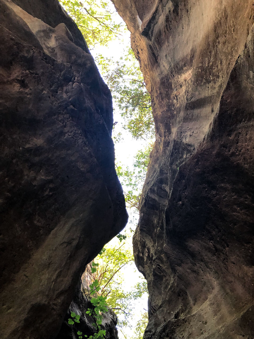 die Felswände der Sarakina-Schlucht ragen bis zu 80 Meter hoch in den Himmel Felswände der Sarakina-Schlucht