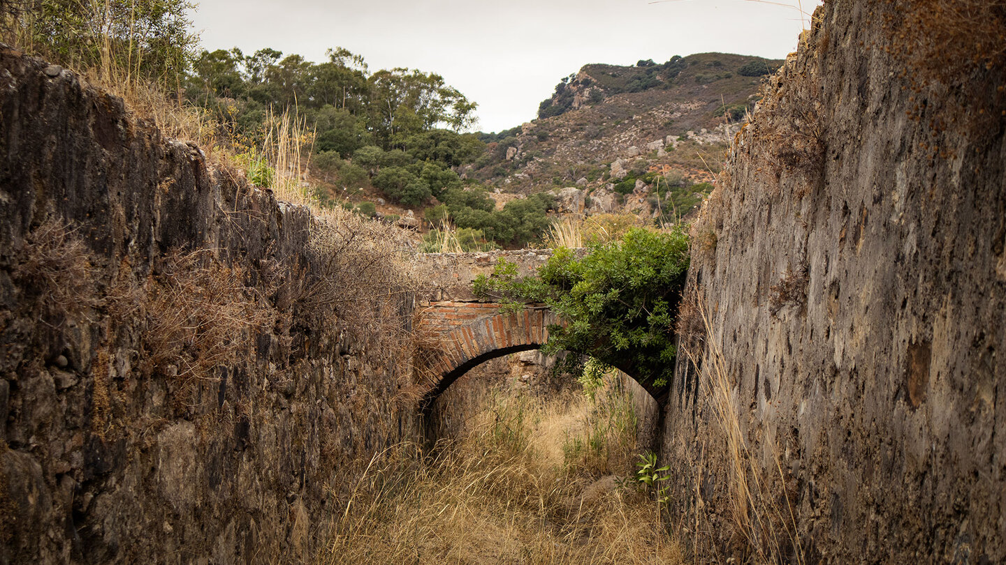 Gäser in den Ruinen der Artilleriefabrik von Jimena de la Frontera