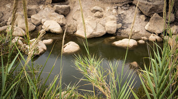 Bachlauf des Río Hozgarganta