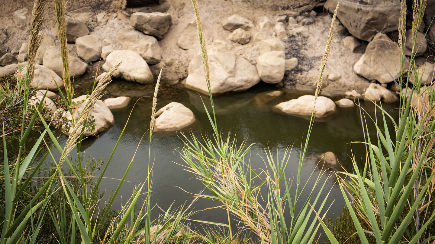 Bachlauf des Río Hozgarganta