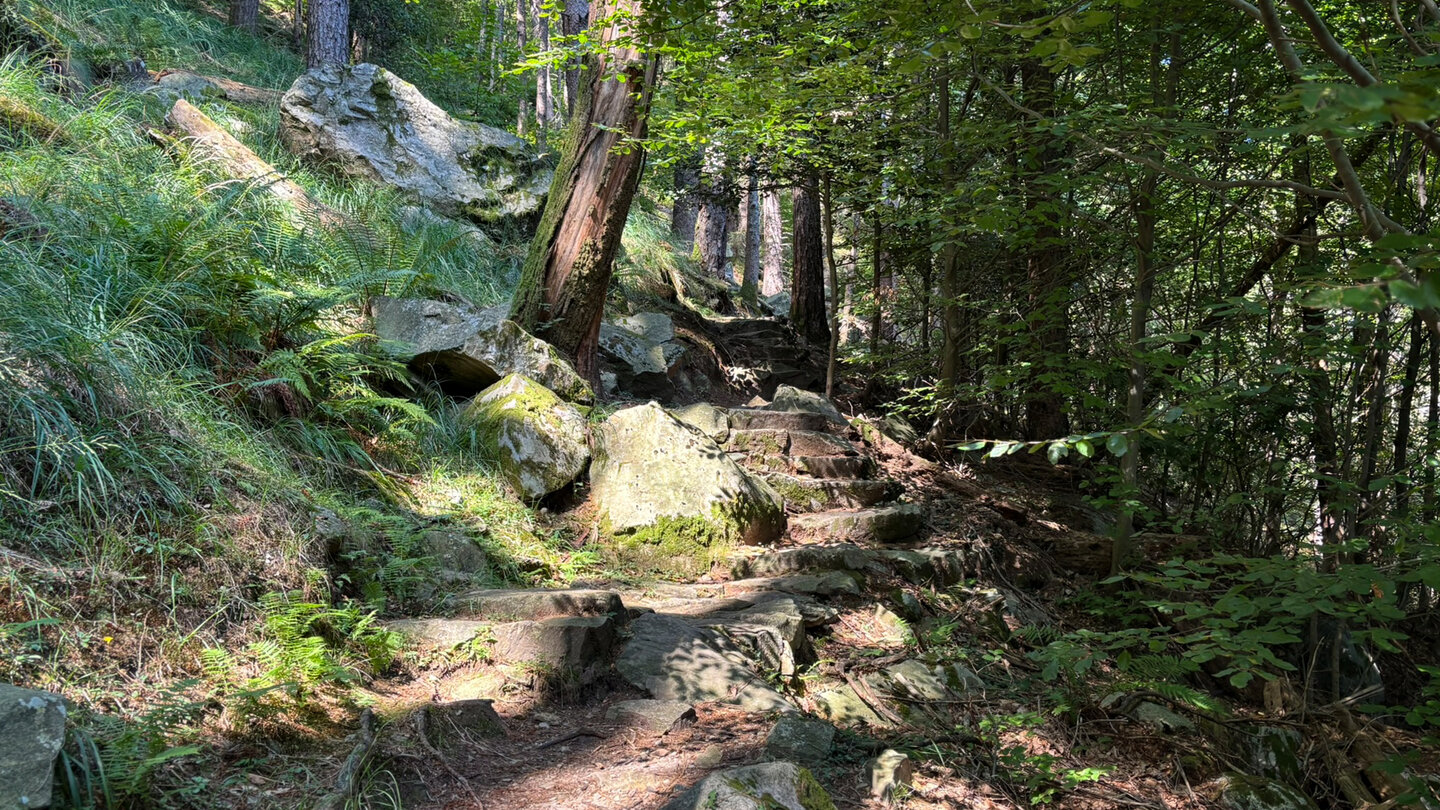 Steinstufen führen durch den Wald hinab nach Tegna Stufen führen durch den Wald nach Tegna