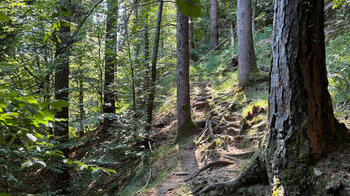 Wanderweg im Wald bei den Rovine del Castelliere im Tessin