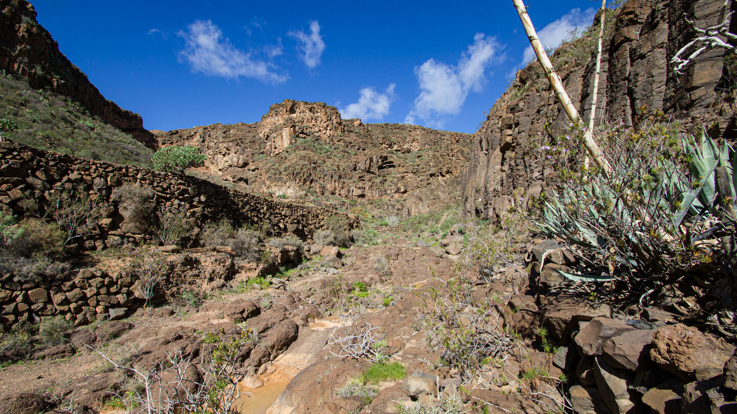 erste Einblicke in die Schlucht Barranco de Tenegüime