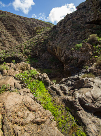 geschliffenes Gestein am Grund der Schlucht Barranco de Tenegüime