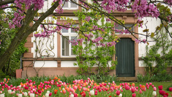 Schau- und Sichtungsgarten Hermannshof